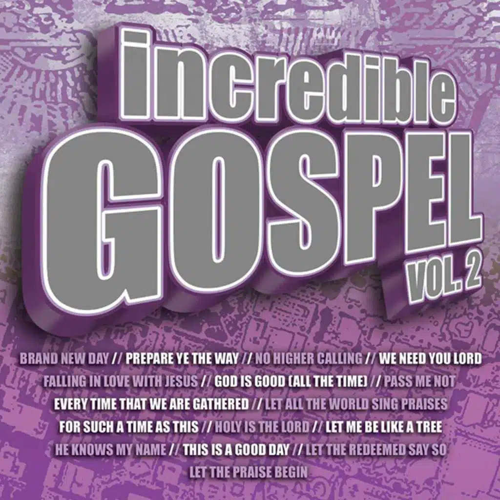 This Is A Good Day (Incredible Gospel Vol. 2 Album Version)