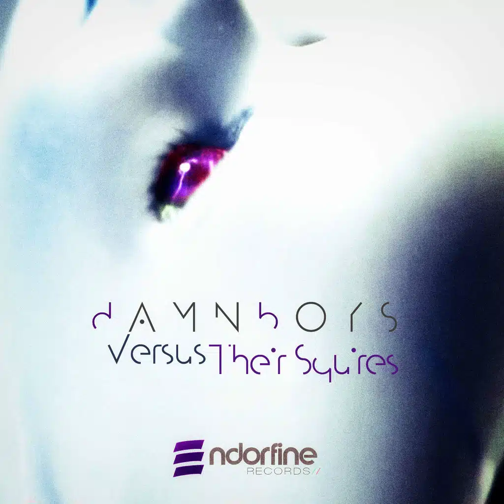 Damnboys Versus Their Squires