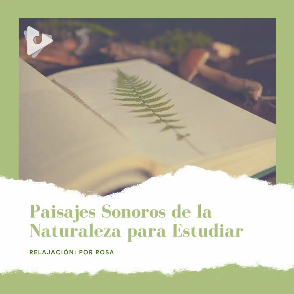 Paisajes Sonoros de la Naturaleza para Estudiar