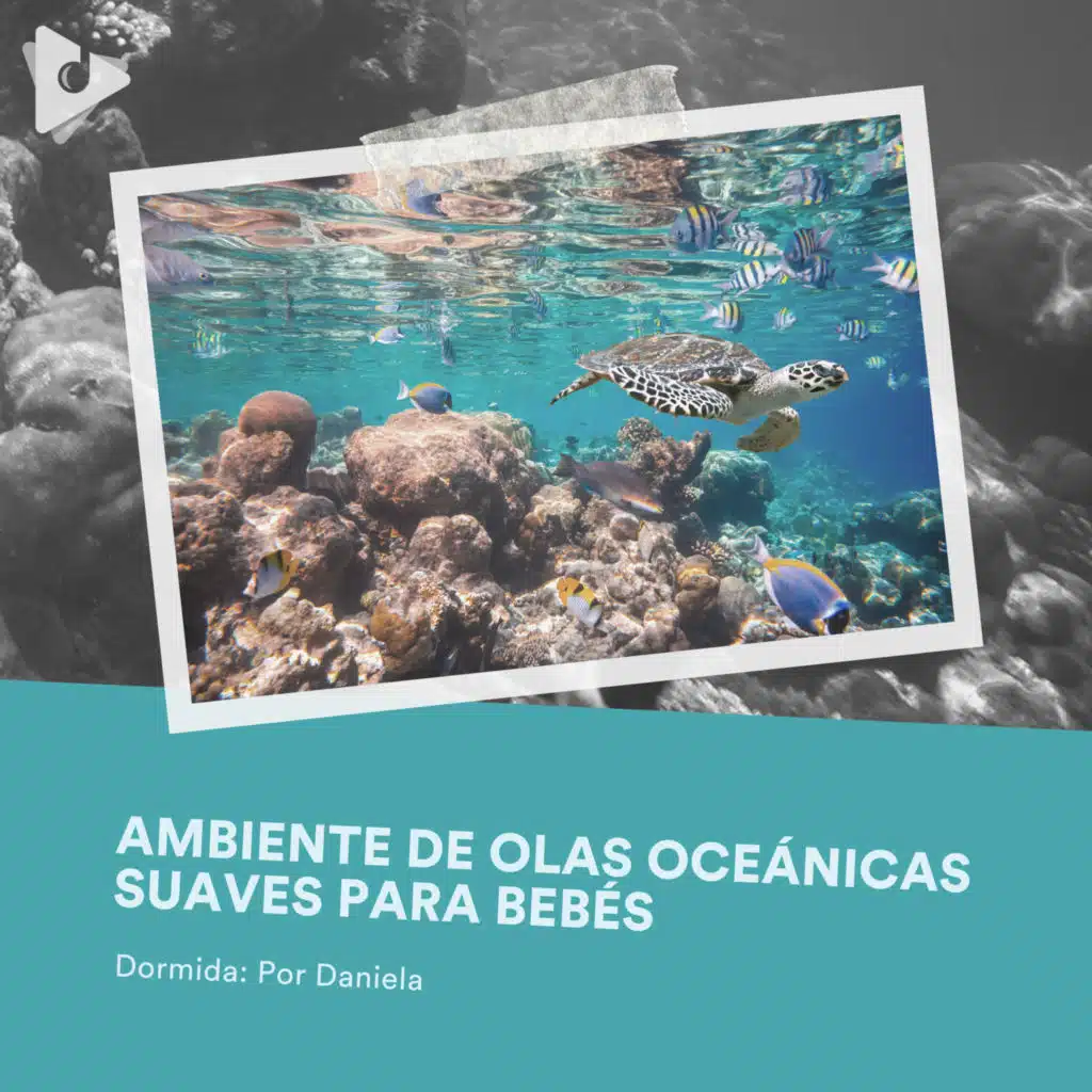 Tranquilo Mar de Sueño