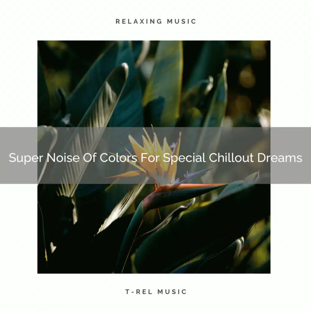 Calm White Noise For Tuned-in Relax Midday Nap