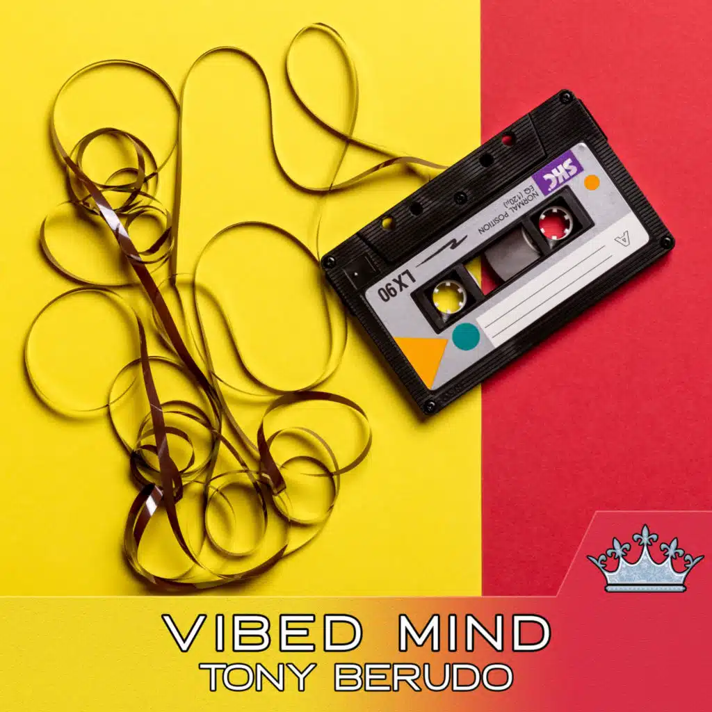 Vibed Mind