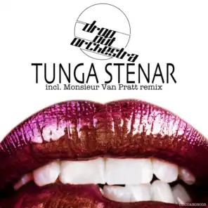 Tunga Stenar (Monsieur Van Pratt Remix)