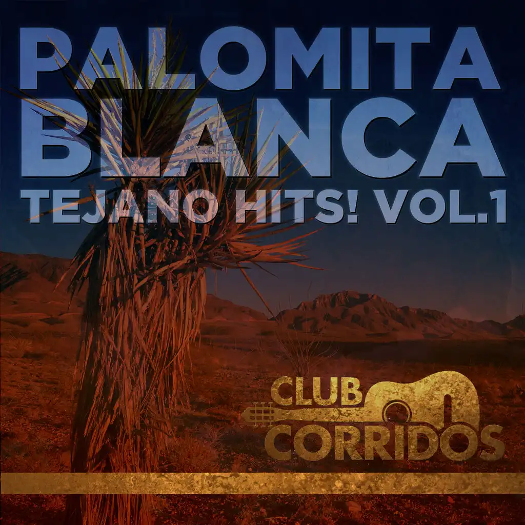 Palomita Blanca: Tejano Hits! Vol.1