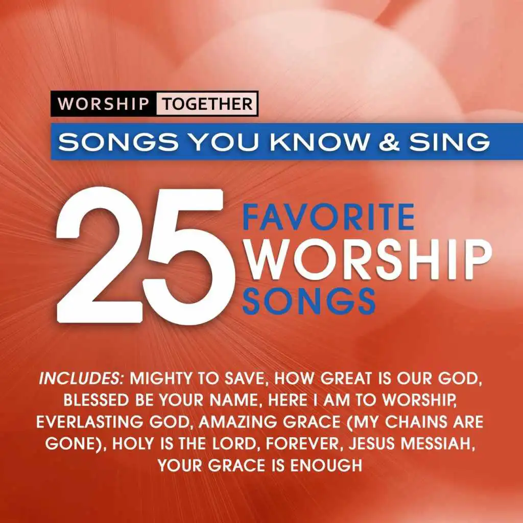 You Never Let Go (Worship Together: 25 Favorite Worship Songs Album Version)