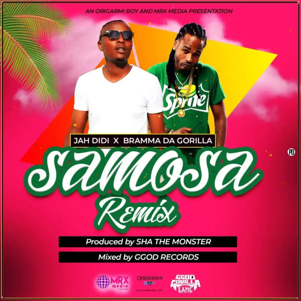 Samosa (Remix)