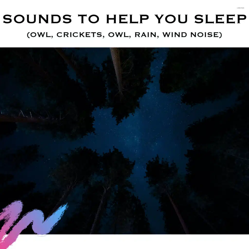 Sounds To Help You Sleep (Owl, Crickets, Owl, Rain, Wind Noise)