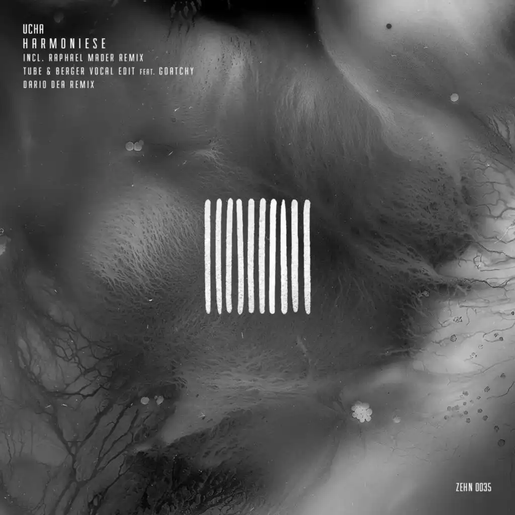 Harmoniese (Raphael Mader Remix Tube & Berger Short Vocal Edit) [feat. Goatchy]
