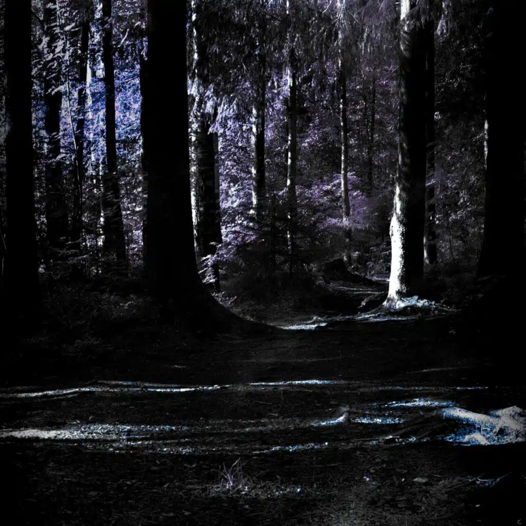 Shadows among trees