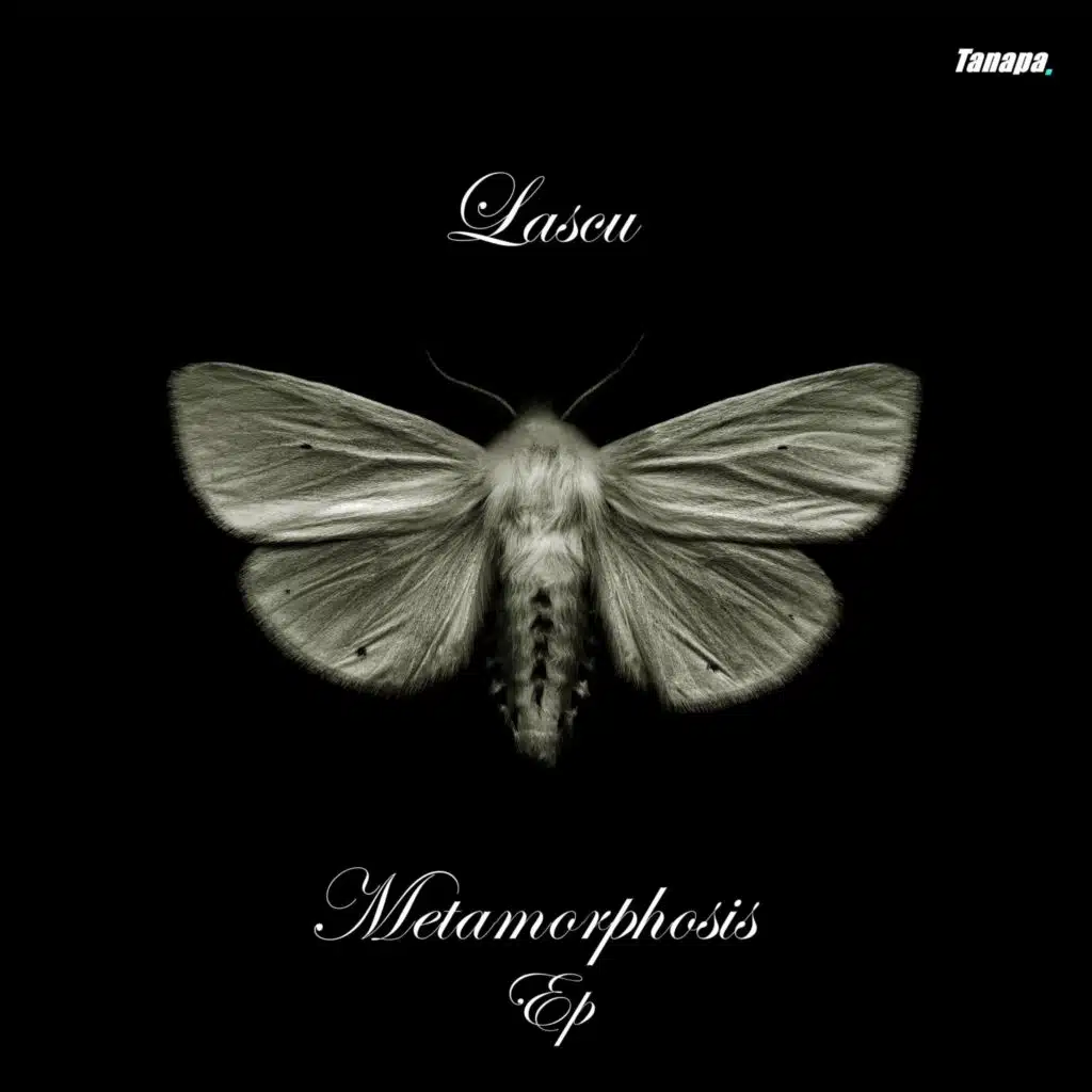 Metamorphosis