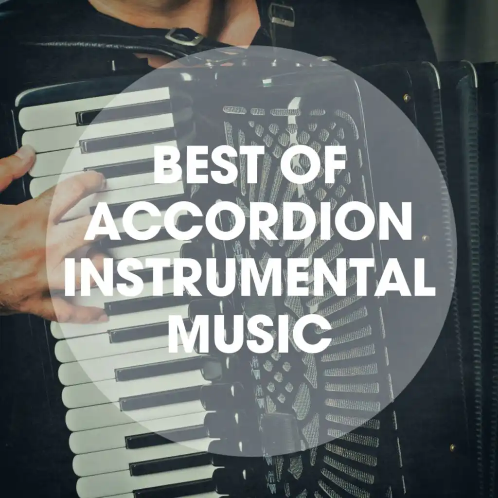Best of accordion instrumental music