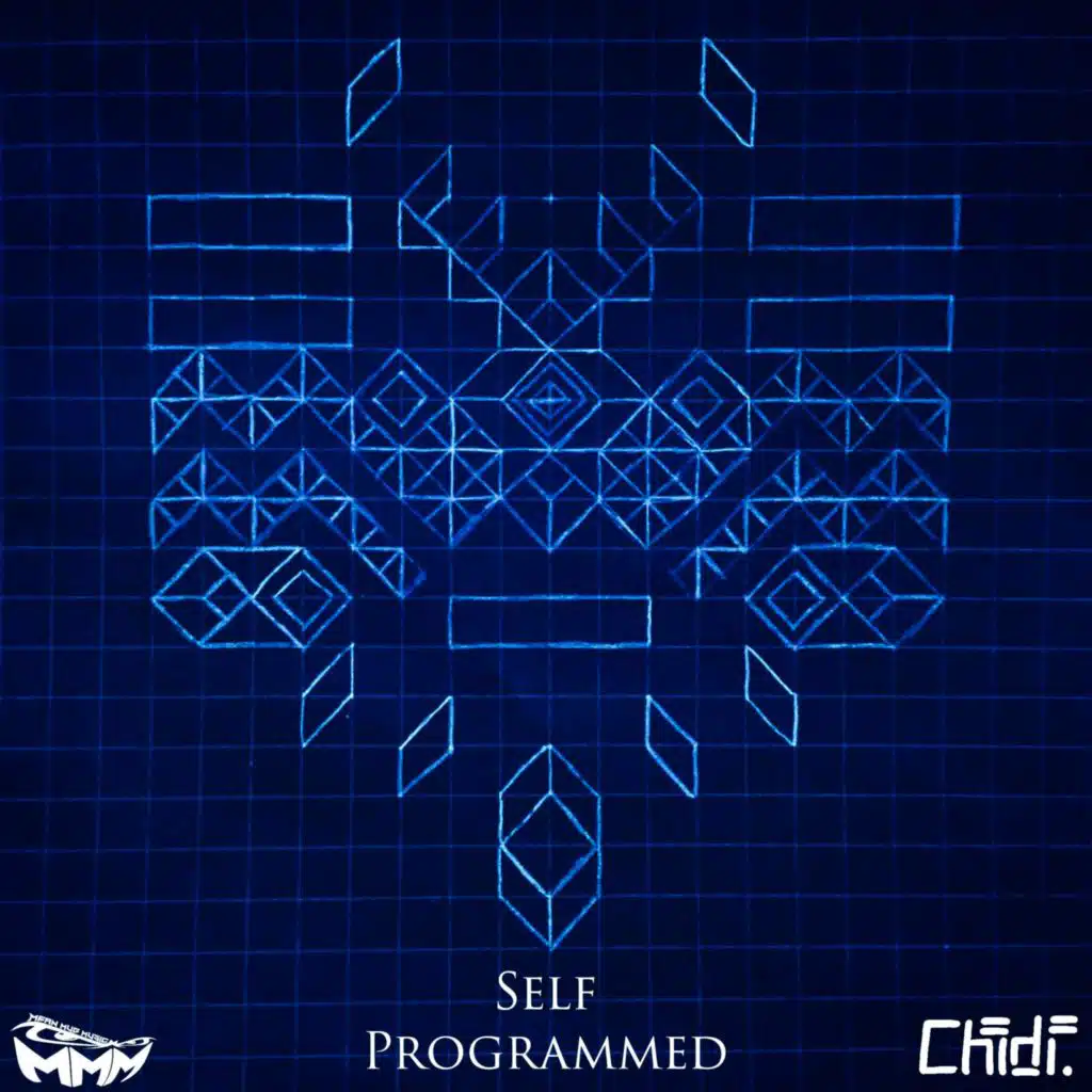Self Programmed