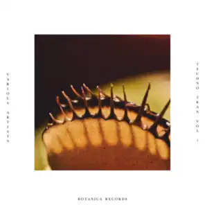 Botanica Records presents: Techno Trax Vol. 1