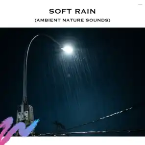 Soft Rain (Ambient Nature Sounds)