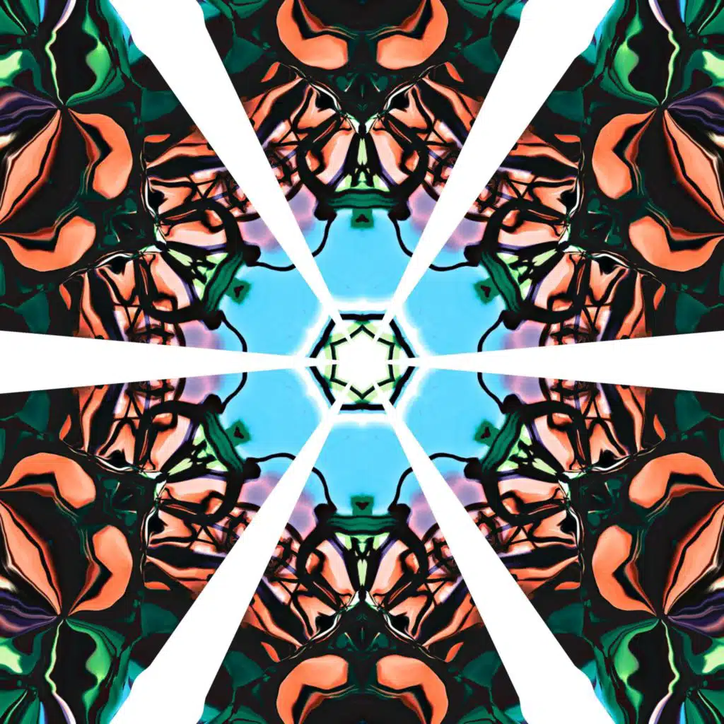 Access to the initiative