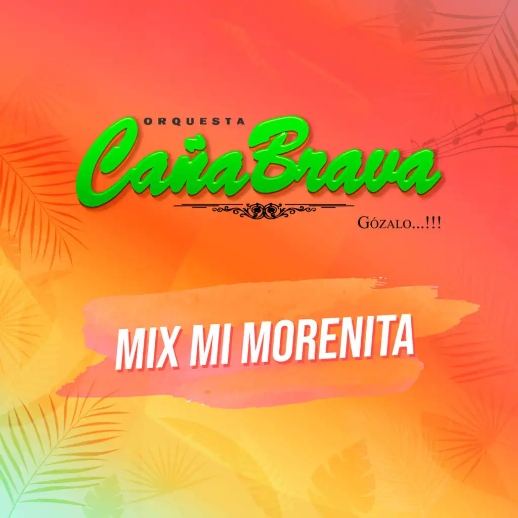 Mix Mi Morenita: Mi Morenita / Tienes Que Regresar / Lloró Mi Corazón