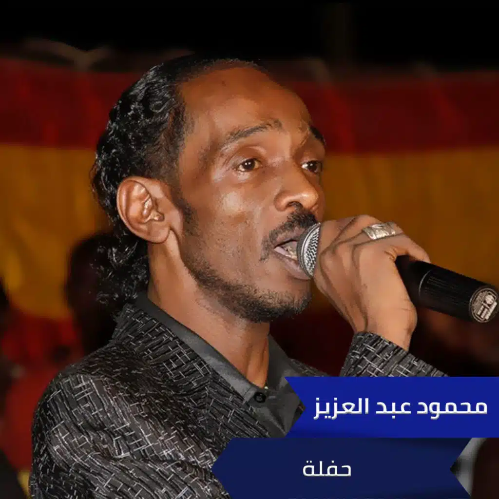 أنساها بس  محمود عبد العزيز