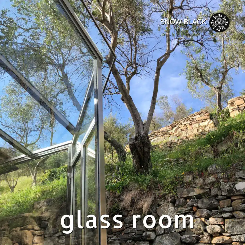 Glass Room