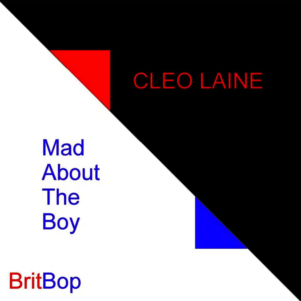 Mad About The Boy