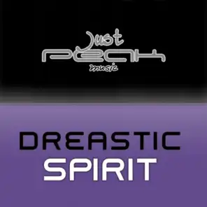 Spirit (Dreas Original Mix)