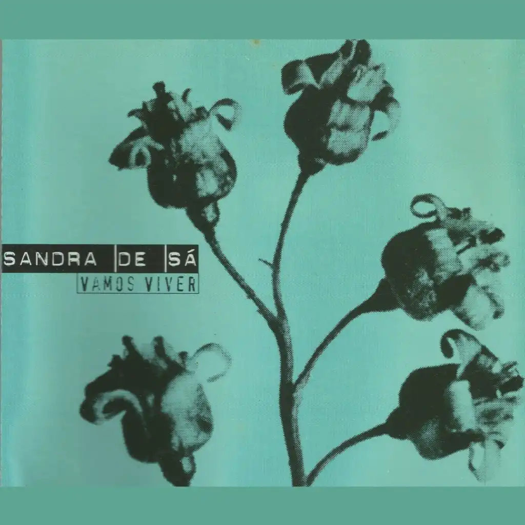 Vamos viver (Charm Corello DJ)