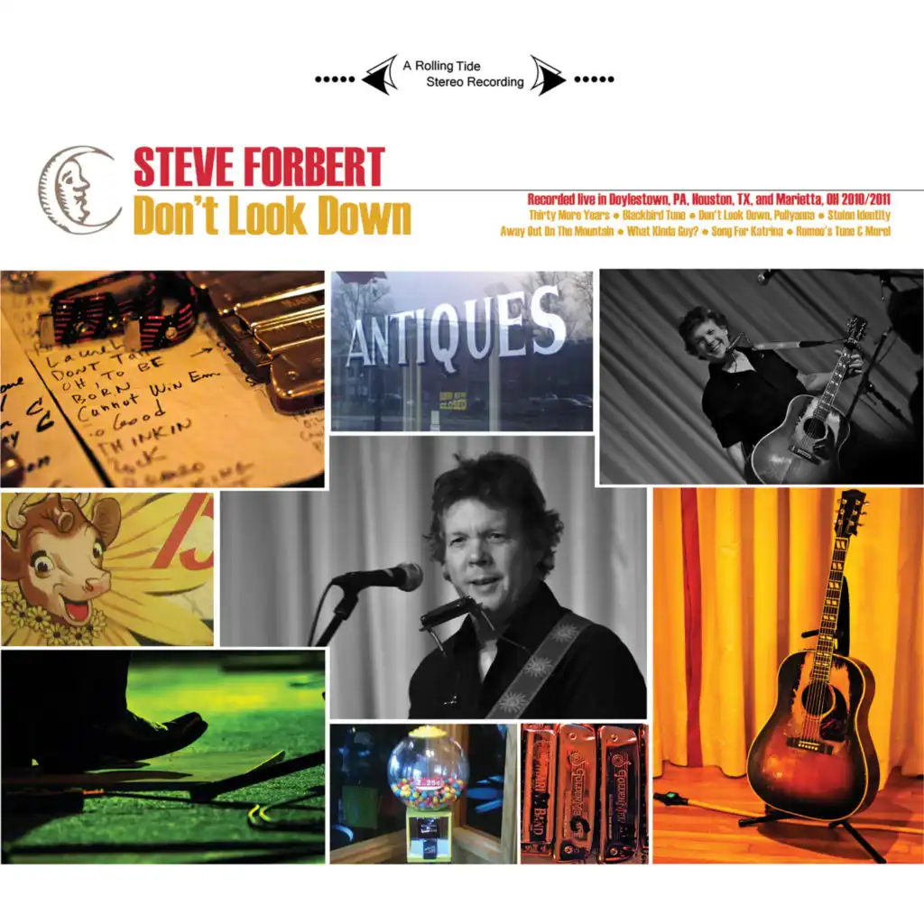 Steve Forbert's Midsummer Night's Toast (Live)