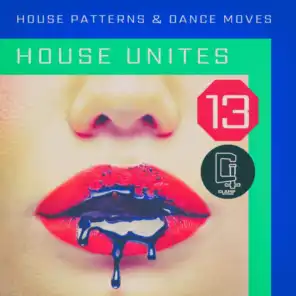 House Unites - Pattern 13