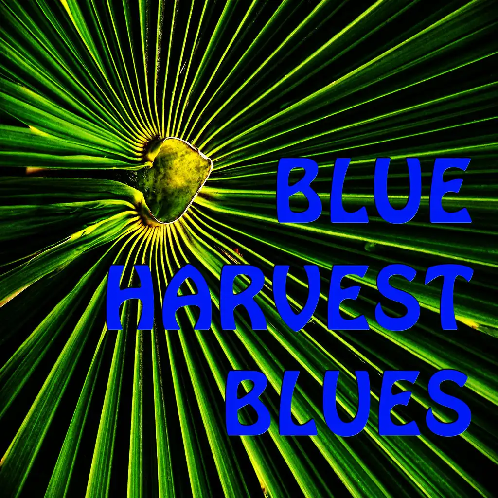 Blue Harvest Blues