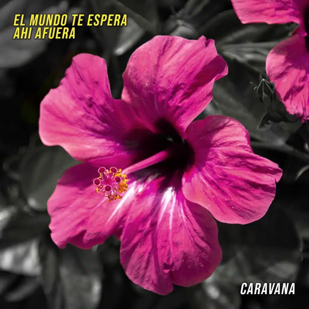 El Mundo Te Espera Ahí Afuera