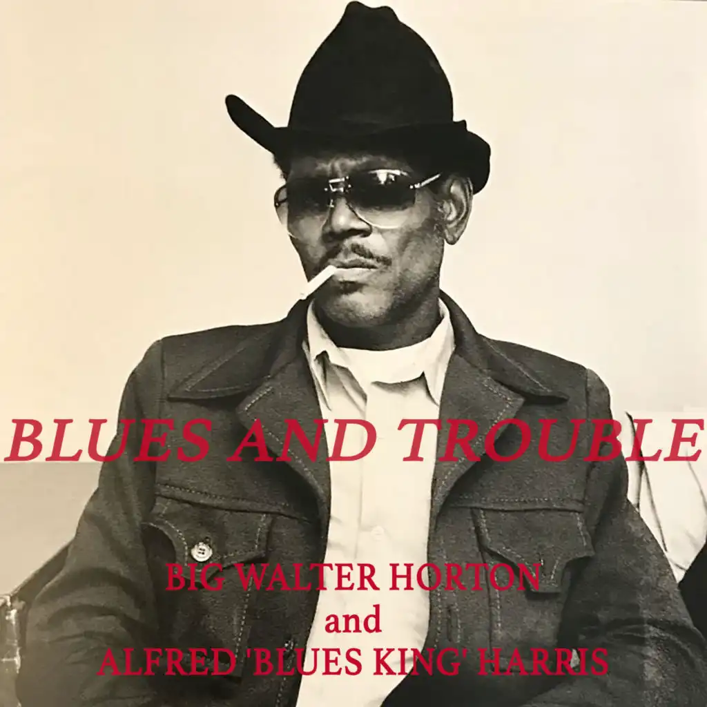 Blues and Trouble - Big Walter Horton & Alfred 'Blues King' Harris