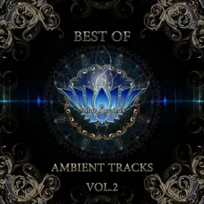 Best of Ambient Tracks, Vol. 2