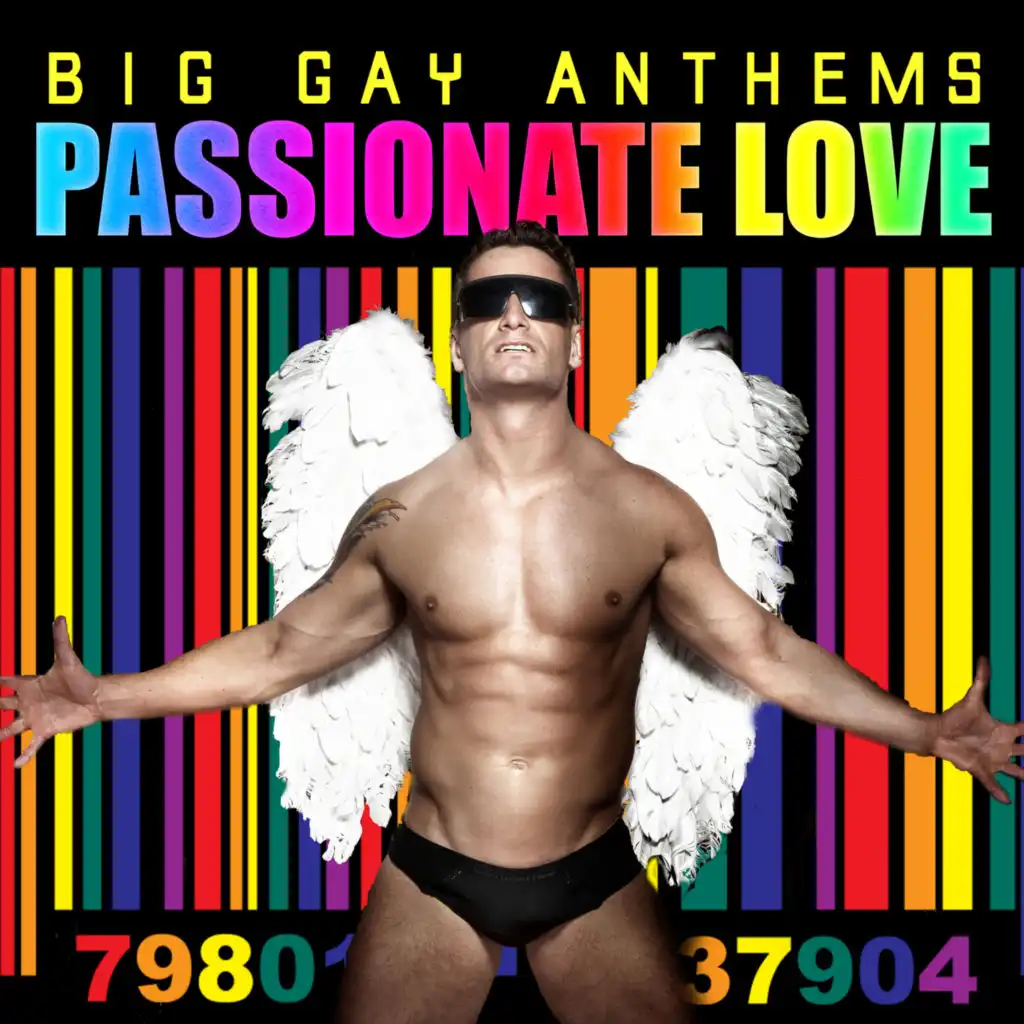 Passionate Love: Big Gay Valentines AnthemsPassionate Love: Big Gay Anthems
