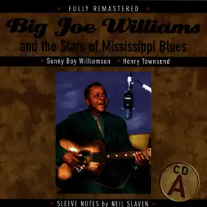 Big Joe Williams And The Stars Of Mississippi Blues