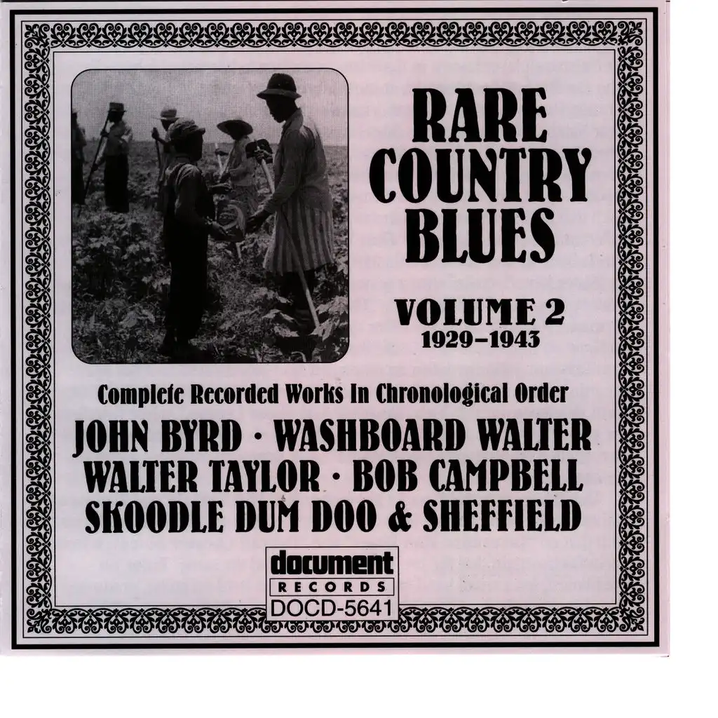Rare Country Blues Vol. 2 (1929-1943)