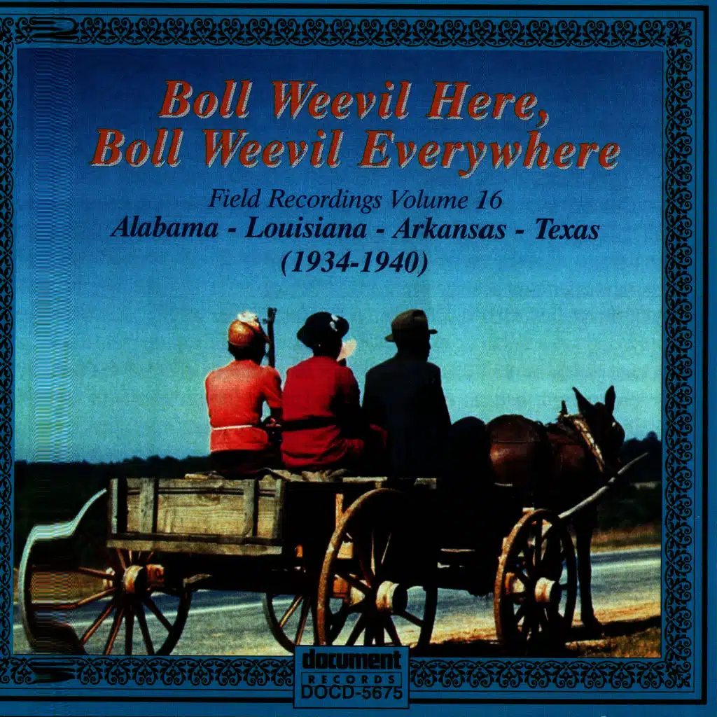 Boll Weevil Here, Boll Weevil Everywhere - Field Recordings Vol. 16 (1934-1940)