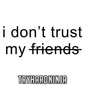 I Don't Trust My Friends (feat. Not a Robot)