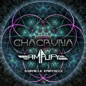 Chacruna & Amplify (MX)