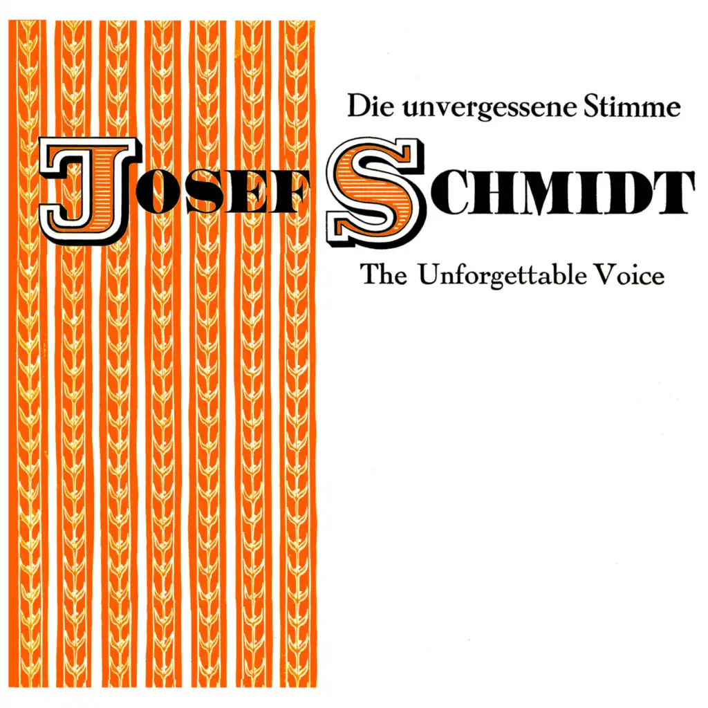 The Unforgettable Voice Of Joseph Schmidt