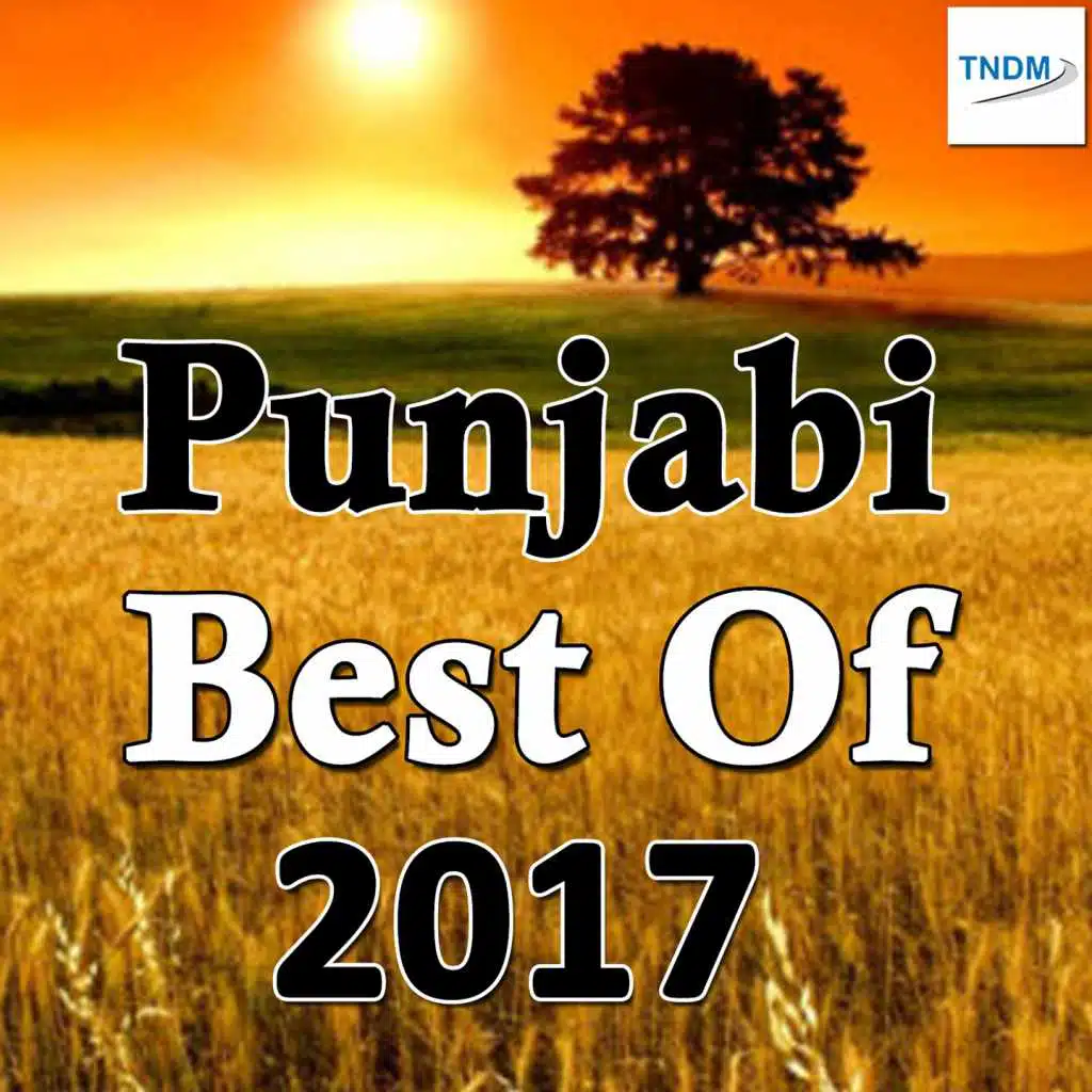 Punjabi Best Of 2017