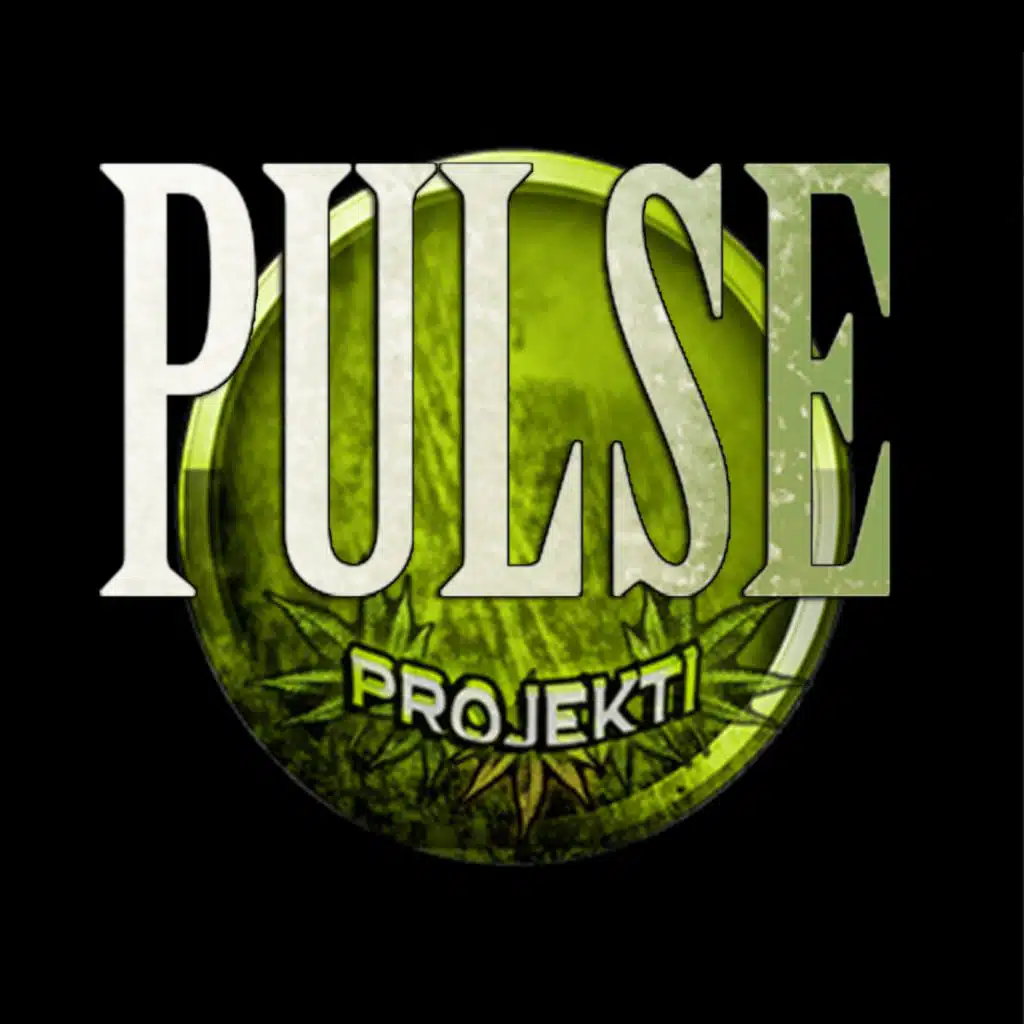 Projekti