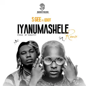 Iyanumashele (Remix) [feat. QDot]