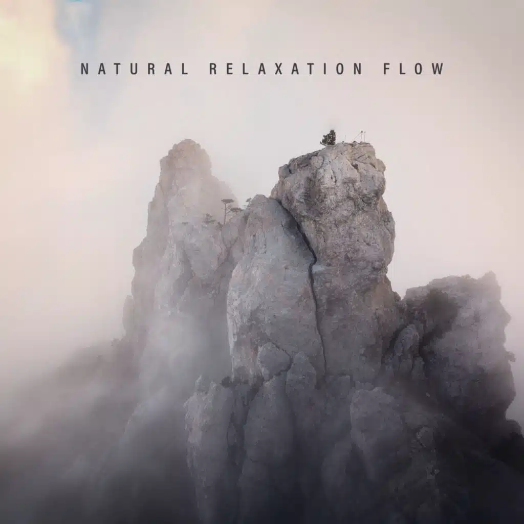 Natural Relaxation Flow - 1 Hour of Beautiful Nature Sounds Collection Perfect for Rest, Sleep and Meditation, New Age Relaxing Vibes, Body, Mind & Soul, Calm Nerves