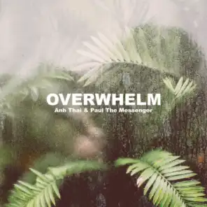 Overwhelm