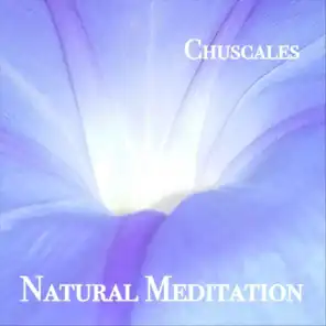 Natural Meditation
