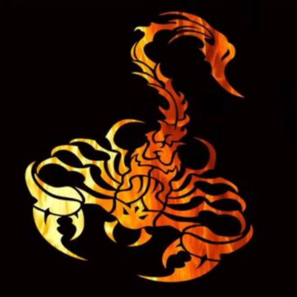 مهرجان ناس عقارب - اجمد مهرجانات 2020 - محمد المنسي