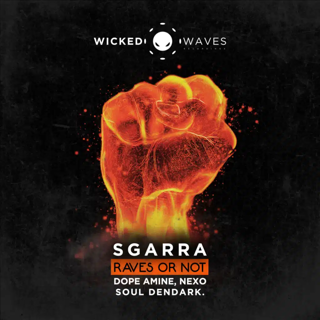 Raves Or Not (Soul Dendark Remix)
