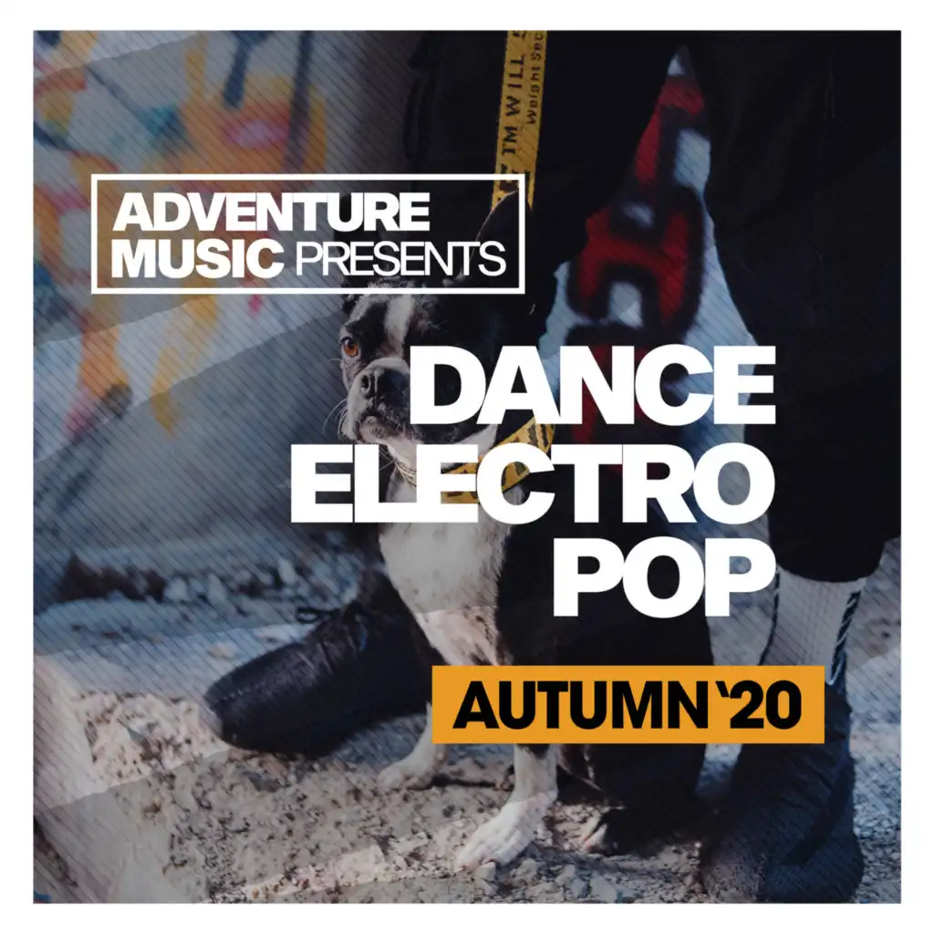 Dance Electro Pop (Autumn '20)