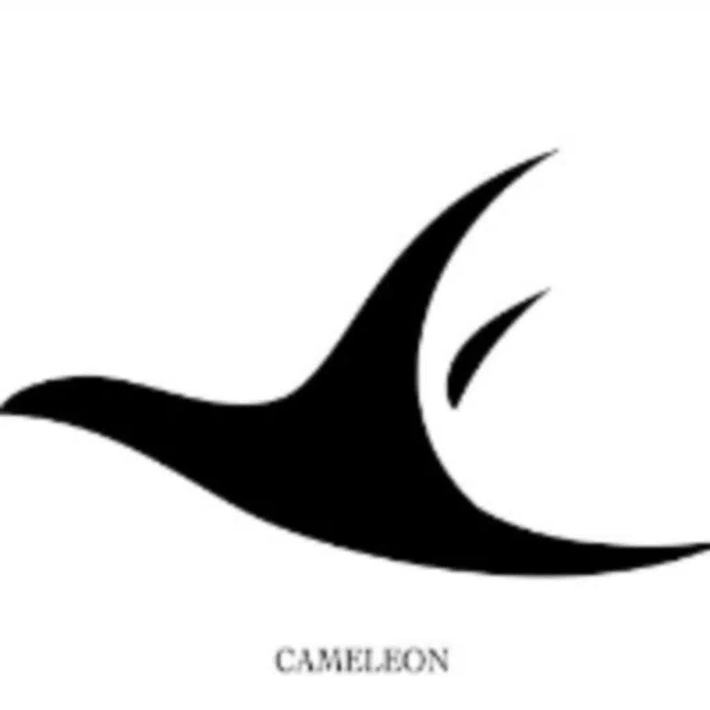 دانيت ننساك