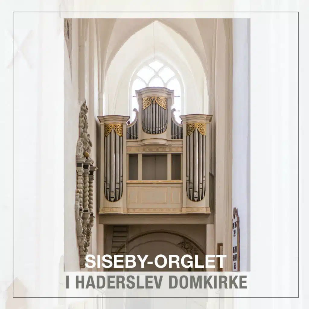Siseby-orglet i Haderslev Domkirke