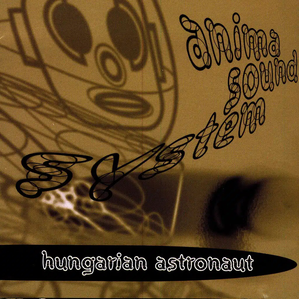 Hungarian Astronaut